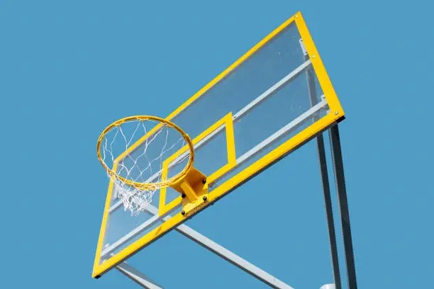 T-Rex 54 Sr Club Backstop
