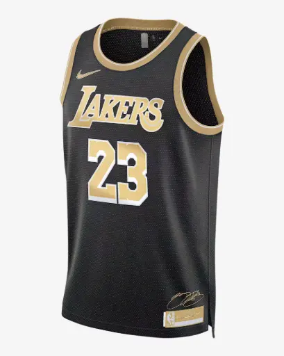 LeBron James Los Angeles Lakers 2024 Select Series Jersey